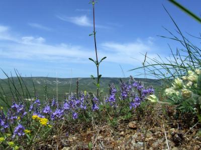 Прикрепленное изображение: 306.jpg